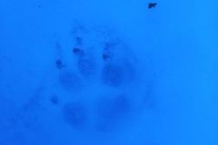 2C liikumistund - 26.01.2021