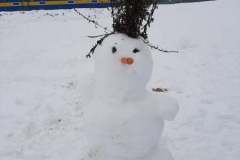 3A tegemised - 29.01.2021