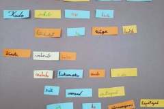 143509776_430634888175329_7755473608971294109_n