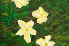 Anemoonid.-Akruul.-Lisika-Arike-6.-kl-2017