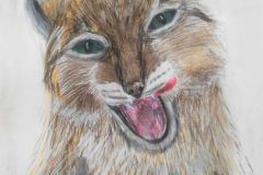 Ilves.-Aasta-loom-2018.-Pastell.-Renita-Veetousme-9.-kl-2018