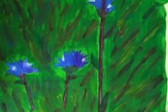 Jaanililled.-Akruul.-Egeri-Hannus-5.-kl-2017