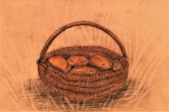 Kartulikorv.-Pastell.-Rael-Pikkel-6.-kl-2016.-ERM-voistujoonistamise-2.-koht