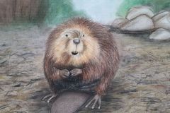 Kobras.-Aasta-loom-2019.-Pastell.-Kirke-Tammiste-8.-kl-2019