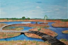 Koitjarve-raba.-Akruul.-Andrei-Fugelo-8.-kl.-Loovtoo-2017