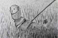 Lemmikloom.-Pliiats.-Rael-Pikkel-6.-kl-2016