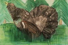 Metsise-pulmalaul.-Akvarellpliiats.-Karmen-Vaiksaar-6.-kl-2018