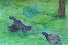 Metsiste-kevadine-mang.-Akvarellpliiats.-Natalii-Roobas-7.-kl-2018