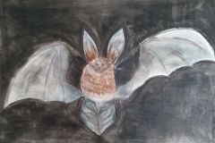 Nahkhiir.-Aasta-loom-2020.-Pastell.-Karmen-Vaiksaar-7.-kl-2020