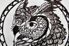 Ookull.-Viltpliiats.-Aleksandra-Suvaorg-6.-kl-2016