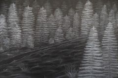 Talvine-mets.-Kriidipastell.-Laureen-Ots.-6.-kl-2019