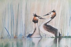 Tuttputt.-Aasta-lind-2020.-Pastell.-Kirke-Tammiste-9.-kl-2020