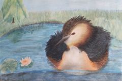 Tuttputt.-Aasta-lind-2020.-Pastell.-Natalii-Roobas-8.-kl-2020