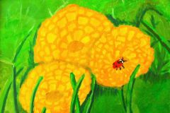 Voililled.-Akruul.-Natalii-Roobas-5.-kl-2017