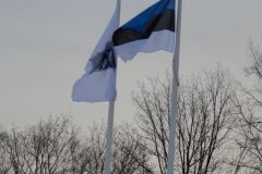 DSCN7084