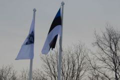 DSCN7085