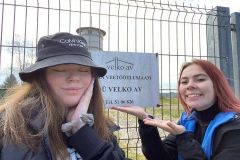 95174430_1249404682071618_7872377940615364608_n