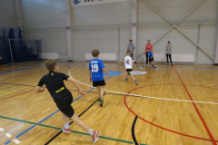 Harjumaa koolidevahelised võistlused rahvastepallis (1.-3. kl poisid) - 16.11.2017