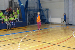 Harjumaa koolidevahelised võistlused rahvastepallis (1.-3. kl T) - 22.11.2017