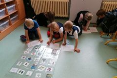 121412058_917136098775781_5661001066035575727_n