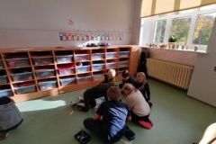 121522378_362997154847754_8795485275911947801_n