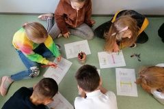 121525974_265963218016045_266322804921223207_n