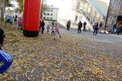 DSCN6269