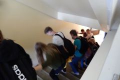 Rebaste ristimine - 16.09.2020