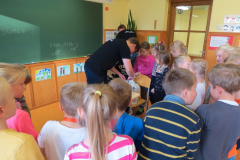 Teadlaste Öö Festivali teaduskatsed - 29.09.2017